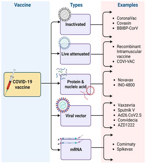 Vaccines | Free Full-Text | mRNA-Based Vaccine for COVID-19: They Are ...