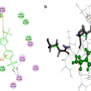 Standard Celecoxib Interaction Map With The Herg Protein A D View Of