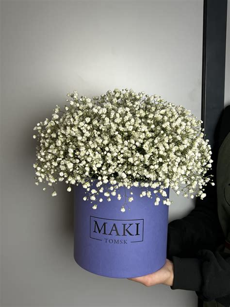 Купить Композиция из 7 гипсофил в Томске - доставка цветов МАКИ