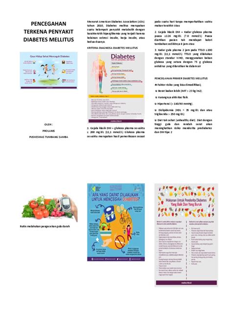 Pencegahan Terkena Penyakit Diabetes Mellitus | PDF