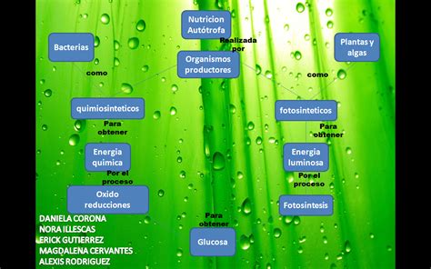 Cuaderno De Biolog A De Nora Illescas Flores Del Grupo Mapa