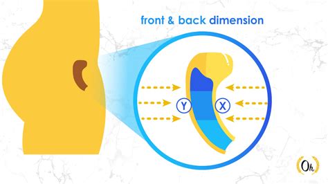 How To Naturally Tighten The Vagina Pompoir Exercises Pdf