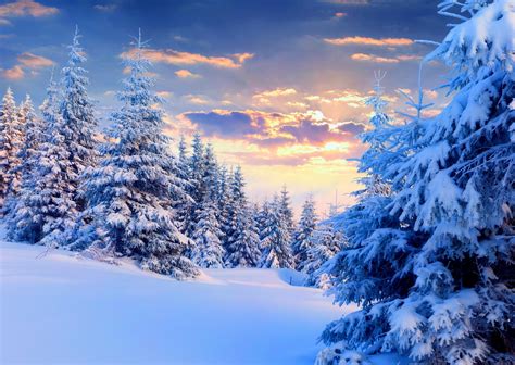 Dusk Snow Scenery