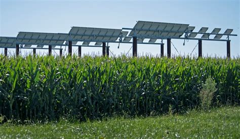 Research Seeks Ways To Grow Solar And Crops Together In The Skeptical Corn