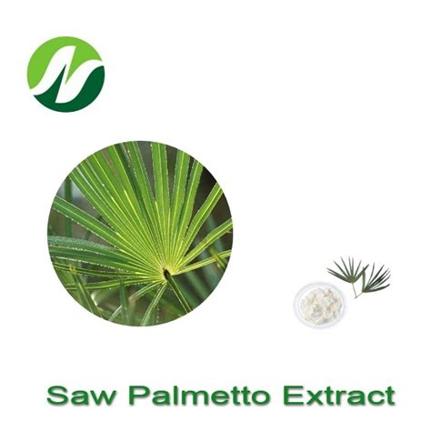 High Quality Nature Fatty Acid Saw Palmetto Extract Powder