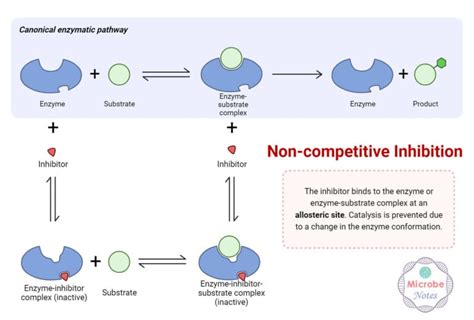 Allosteric Inhibition Mechanism Cooperativity Examples