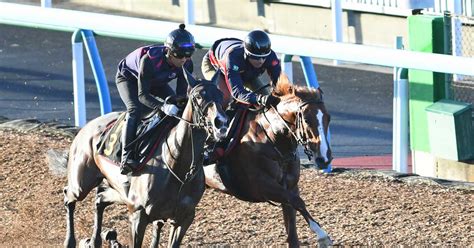 【新潟記念】1週前追い 日本ダービー以来のノッキングポイント、wコース馬なりで僚馬と併入 サンスポzbat