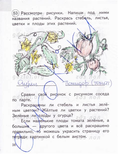 Решебник 3 класс окружающий мир рабочая тетрадь федотова: ГДЗ рабочая ...
