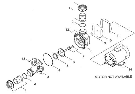 Removing Impeller From Spa Pump Portable Hot Tubs Spas Pool And Spa Forum