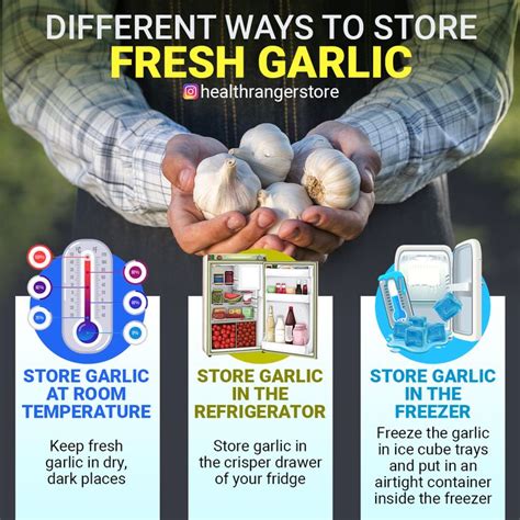 Different ways to store fresh garlic | How to store garlic, Refrigerator freezer, Fresh garlic