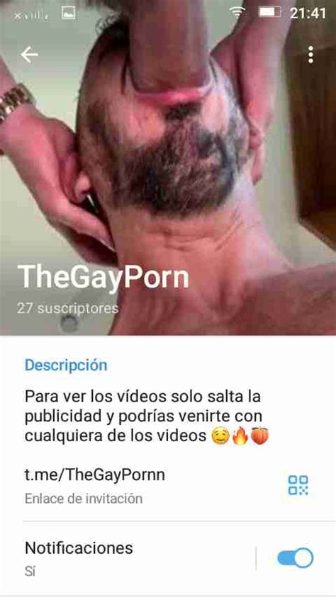 Grupos GAY De Telegram 5 GAY Groups In Telegram Guia GAY Colombia