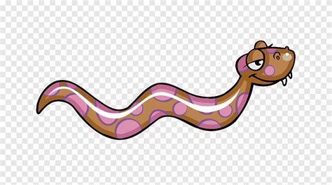 Snake Reptile Cartoon Pink Cartoon Snakes Cartoon Character Purple