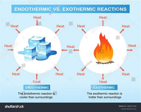 Science Infographics Illustration Endothermic Exothermic Reactions ... 