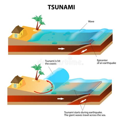 Tsunami E Terremoto Ilustra O Do Vetor Ilustra O Do Vetor