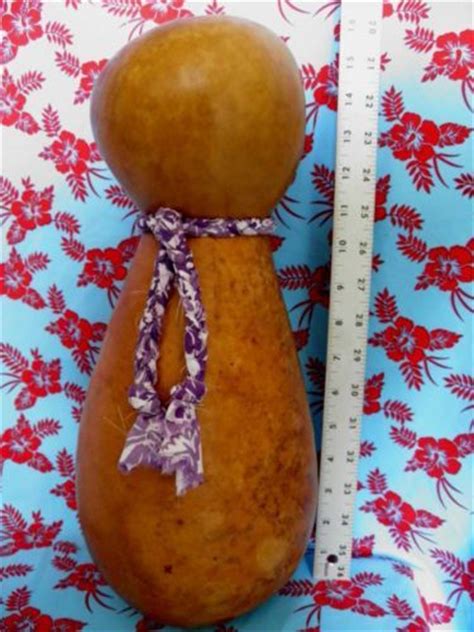 152 best images about Ipu, Ipu Heke & other Gourds on Pinterest ... 