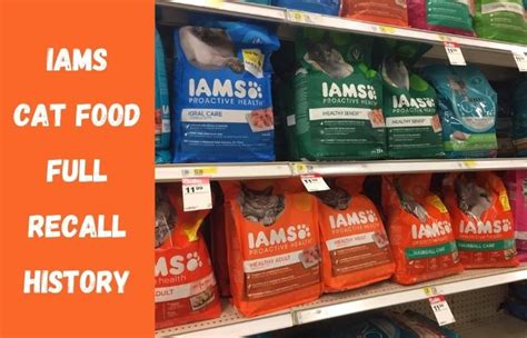 Iams Cat Food Review: Everything You Need to Know