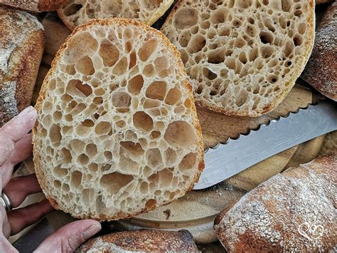 Pane Archivi Pan Brioche