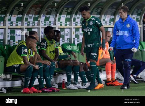 São paulo x coritiba 2023 hi res stock photography and images Alamy