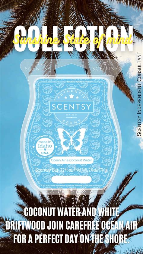 New Ocean Air Coconut Water Scentsy Bar Scentsy Sunshine State Of