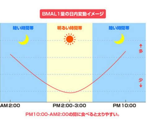 8kg痩せた女医が食べたかったスイーツを食べた時間 医師が教える健康ダイエット＊美味しく食べ痩せ健康モデル体型へ＊