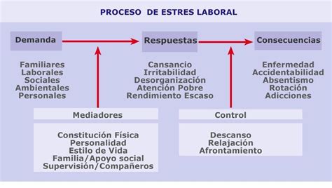 Fases Del Estres Laboral