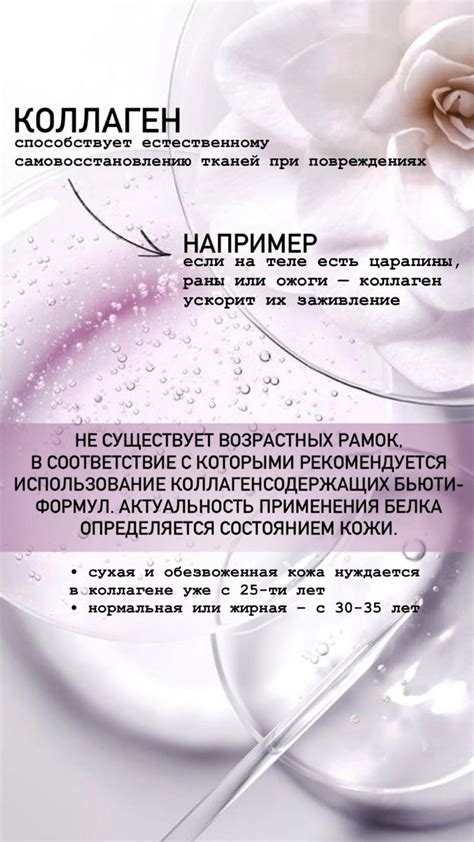 Коллаген nel 2024