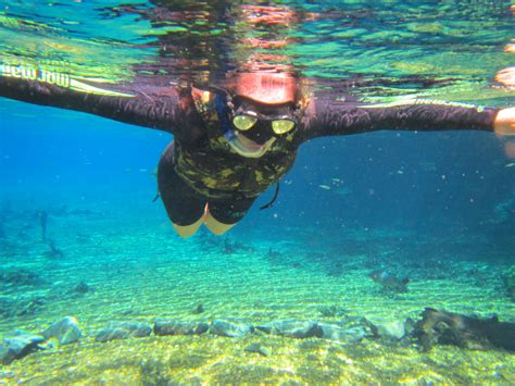 Banco de imagens : mar, natureza, lazer, mergulho, embaixo da agua ...
