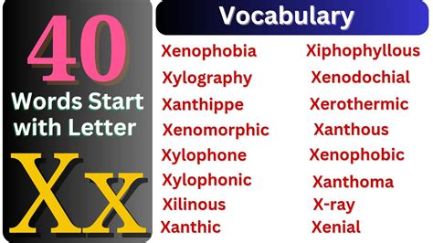 Letter X words – X Letter Words – English Vocabulary – Learn English ...