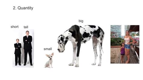 ten categories   youtube