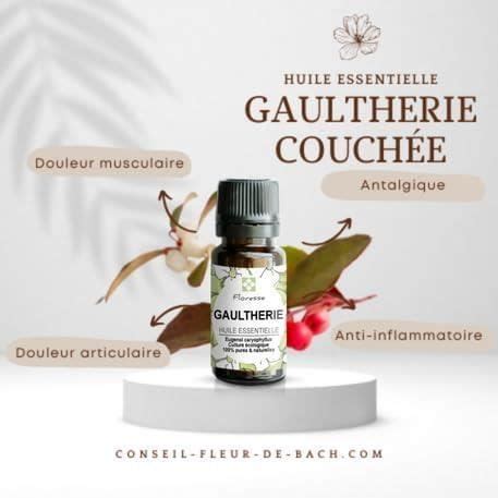 Huile Essentielle De Gaultherie Couchee 10Ml 100 Pure Naturelle