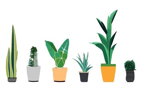 Um Conjunto De Plantas Em Vasos Diferentes Um Que Diz Agave Vetor