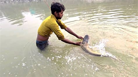 जाल से एक और बड़ी मछली पकड़ने का अद्भुत दृश्य Amazing Fishing River