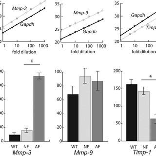 Real Time Rt Pcr Data For The Expression Of Timp Mmp And Mmp In