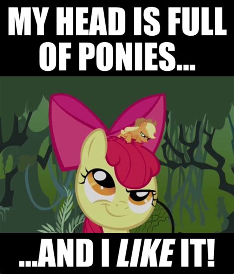 Image My Brain Is Full Of Fuck Know Your Meme