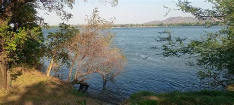 ZAMBEZI RIVER stock image. Image of nilessource, square - 236205911