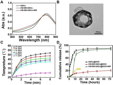 Cancer Cell Erythrocyte Hybrid Membrane Coated Gold Nanocages For Near Ijn