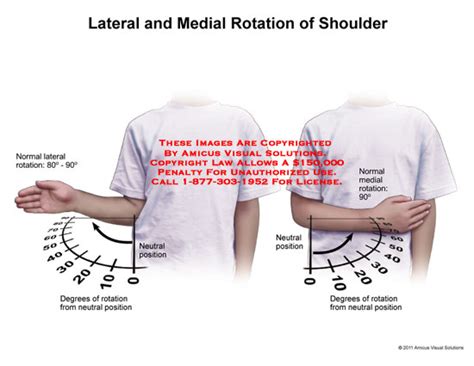 Medial And Lateral Rotation