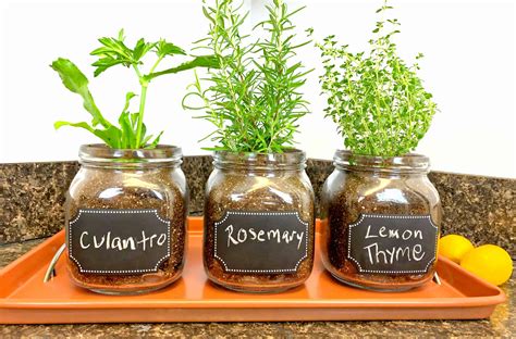 DIY Indoor Herb Garden - Easy Fun Way To Grow Fresh Herbs Indoor