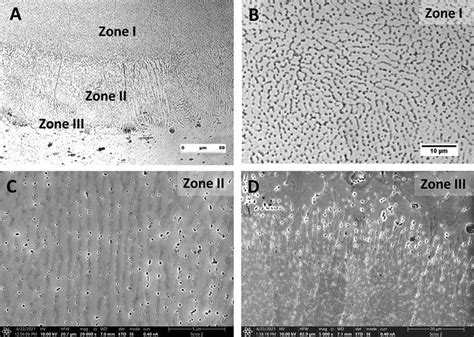 Microstructure Of The Weld Bead A Showing The Equiaxed Grains B And