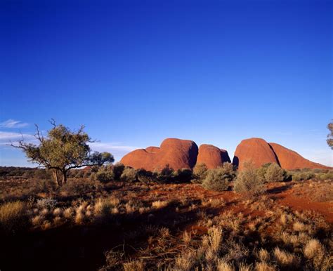 Kata Tjuta Private Tour Australian Private Tours