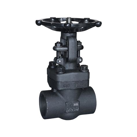 Forged Steel Gate Valve A Lb Sw Npt From China Manufacturer Pg