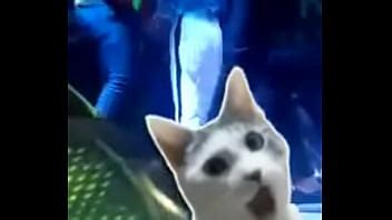 Calentona Videos Page XVIDEOS