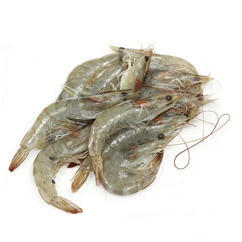 Gambas Crues Sauvages Calibre La Caisse De Gr