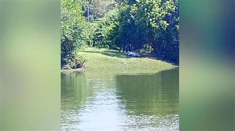 A Gazeta Corpo Encontrado Dentro De Rio Na Serra E Suspeita De