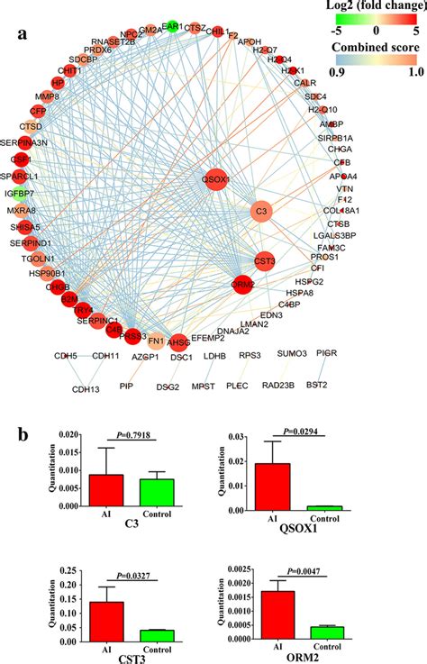 Protein Protein Interaction Network Analysis A The Network Consists Of