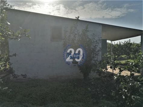 Terreno Agricolo Strada Provinciale Bagheria Misilmeri Bagheria Rif