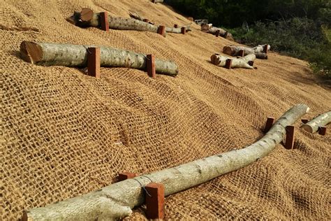 Erosion Control And Bank Stabilisation Sustainable Outdoors Sloped