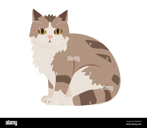 Cute Flat Cat Vector Illustration Stock Vector Image And Art Alamy