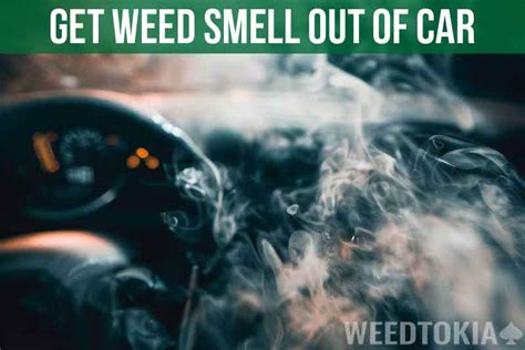 How To Get Weed Smell Out Of Cars Proven Ways In Weedtokia