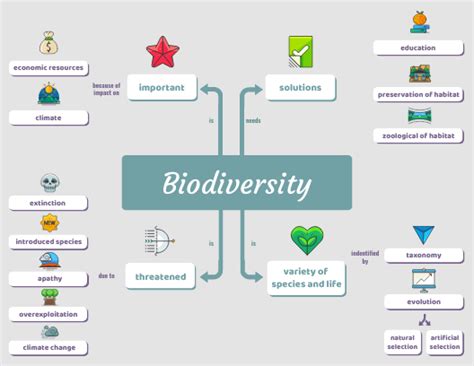 Light Biodiversity Biology Concept Map | Concept map, Concept map ...